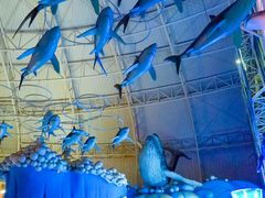 -烟台海昌鲸鲨海洋公园