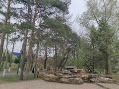 -黑龙江省森林植物园