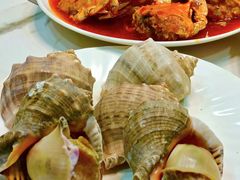-清真老马家海鲜大排档(台东店)