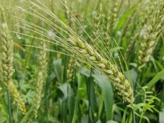 -长兴太湖图影湿地文化园