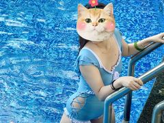 -嘉和K6温泉微度假