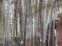 -天赐温泉