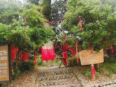 -寨沙侗寨(侗族歌堂)