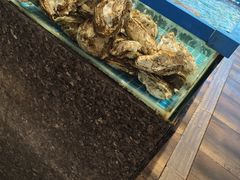 -纳福苑(亮庆餐饮分店)