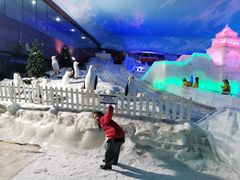 -世界之窗阿尔卑斯冰雪世界