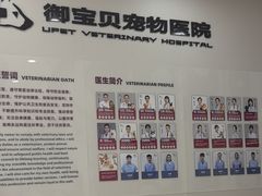 -御宝贝24h宠物医院·转诊中心·CT核磁血透中心(厦门总院)