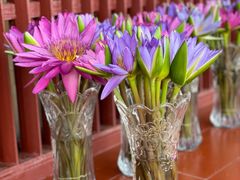 -三亚南山文化旅游区