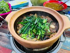 -霞姐屯昌枫木香草鸭店(海螺店)