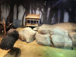 点击看大图 -酷嗒动物文化乐园(cutezoo西溪乐天城店)