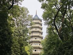 -灵谷景区