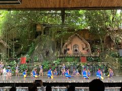 -海南槟榔谷黎苗文化旅游区