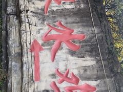 -老幺泉水鸡