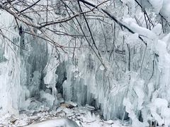-黑龙潭风景区