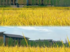 -中国天府农业博览园