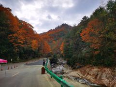-光雾山十八月潭风景区-售票处