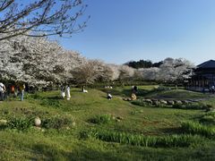 -凤凰沟景区