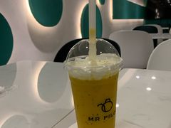 -飞行喵MR PILOT|猫舍·猫咖(静安大融城店)