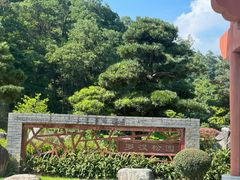 -深圳仙湖植物园