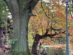 -北海道厅旧本厅舍(旧本庁舎)