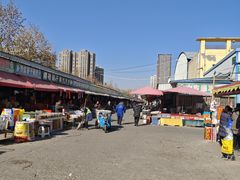 -西北农副产品中心批发市场(广安路店)