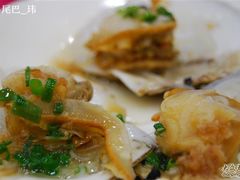 蒜蓉扇贝-海岛渔村大酒店(云霄路店)