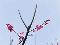 -北京明城墙遗址公园