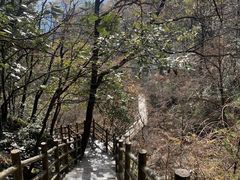 -罗田天堂寨风景区