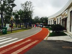 -上海长兴岛郊野公园