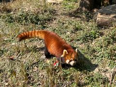-宁波野生动物园