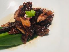 -桂满陇天书(南京德基旗舰店)
