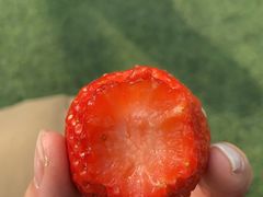 -小鱼草莓采摘园农家乐·小鱼餐厅