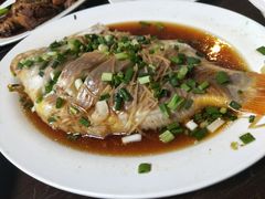 -绿光森林餐厅
