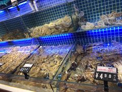 -必点海鲜·鲅鱼水饺(鞍山西道店)