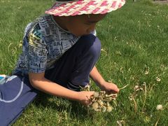 -意大利农场度假村