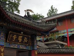 -黔灵山公园