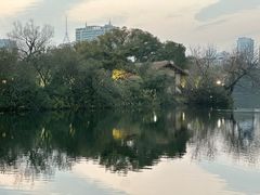 -东南饼庄(苏圃路店)