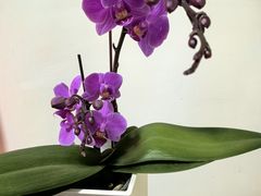 -招商银行(上海九亭支行)