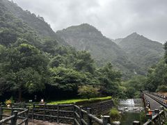 -宁波五龙潭景区