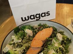 -Wagas沃歌斯(长宁龙之梦店)