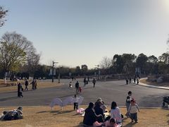 -盘龙城国家考古遗址公园