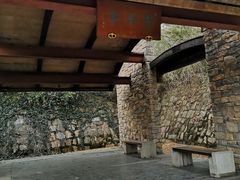 -白马涧龙池景区
