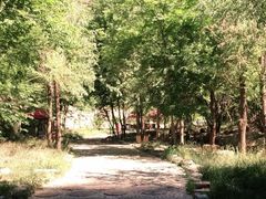 -十渡东湖港风景区