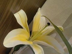 -聆桂烤鸭·金奖烤鸭(静联广场店)