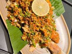 -Ameigo梅果·云贵川bistro(长宁来福士店)