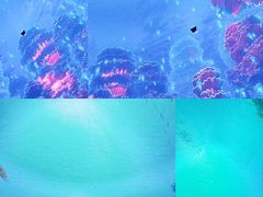 -海合安天津极地海洋公园