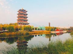 -永定河休闲森林公园