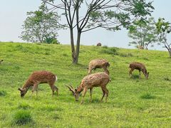 -良渚古城遗址公园