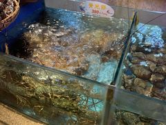 -快乐海鲜酒楼(滇池路店)