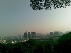 -金鸡山公园