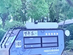 -贡湖湾湿地公园